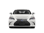 2019 Lexus ES 300h Luxury
