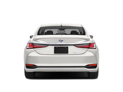 2019 Lexus ES 300h Luxury