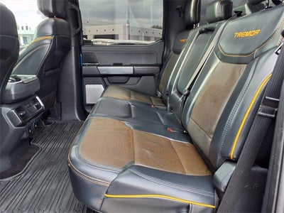 2021 Ford F-150 Tremor